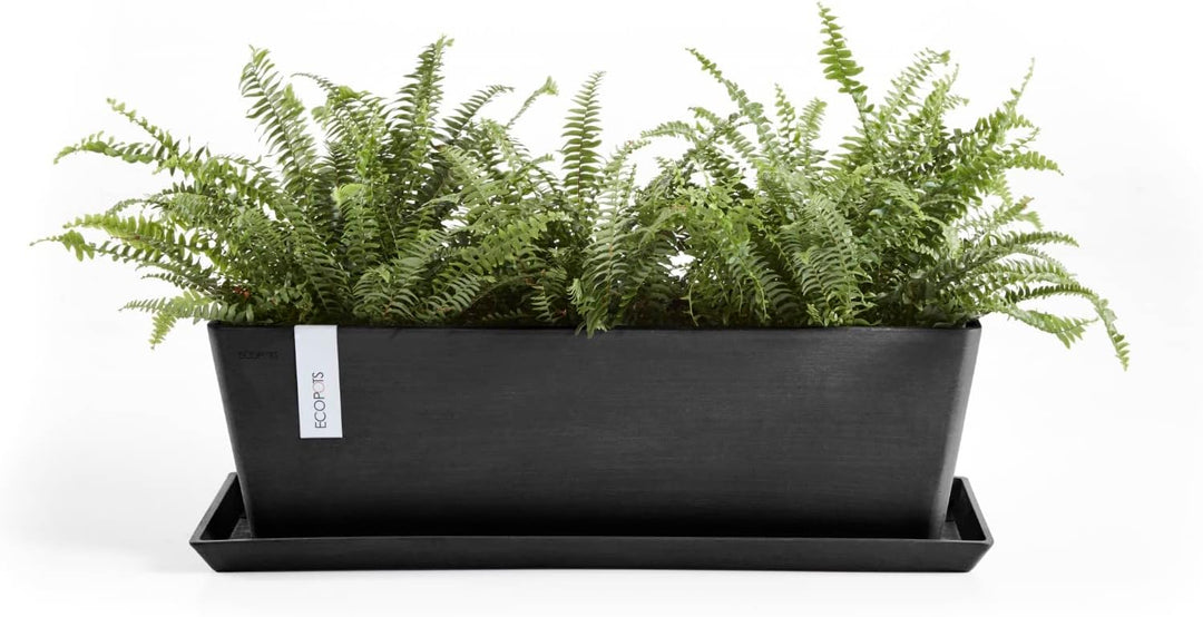 ECOPOTS Balkonkasten Bruges Dunkel Grau - 55 x 17 cm mit Wasserversorgung rechteckig - Pflanzentopf