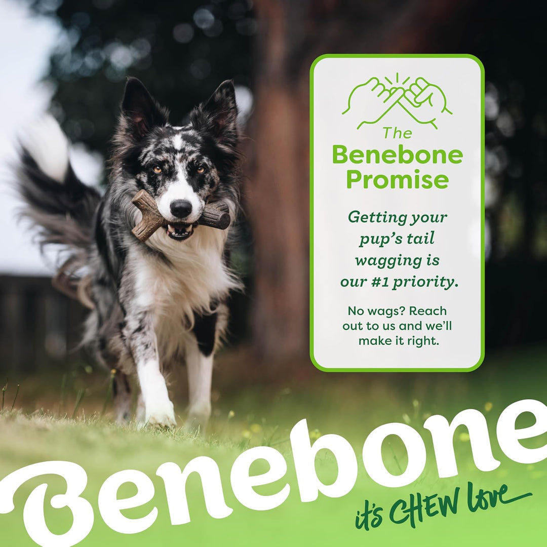 Benebone 2-Pack Indestructible Maplestick/Zaggler for Aggressive Chewers, Long Lasting Tough Boredom