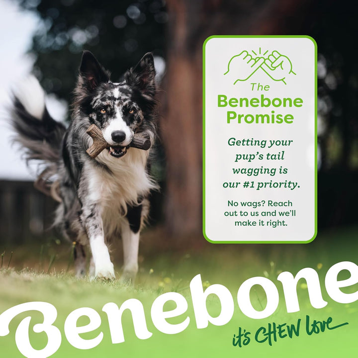Benebone 2-Pack Indestructible Maplestick/Zaggler for Aggressive Chewers, Long Lasting Tough Boredom