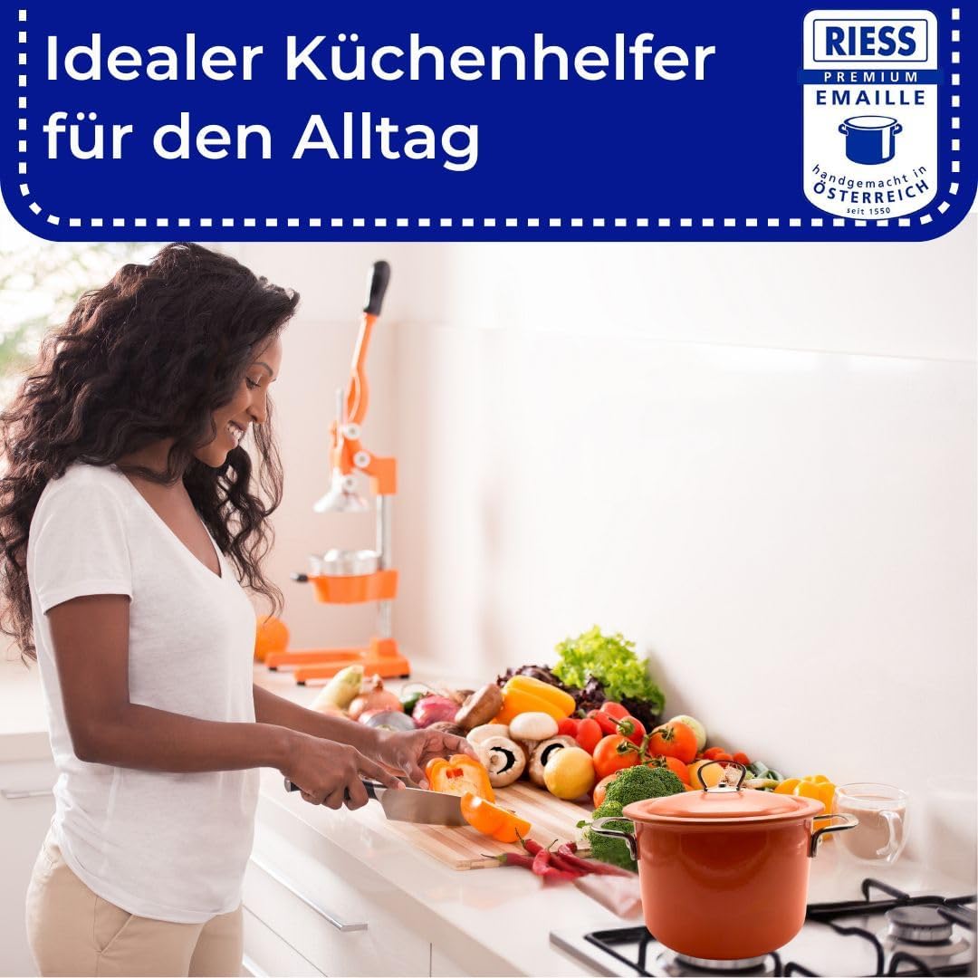 Riess, 2189-001, Fleischtopf mit Deckel 20cm, 4L, Emaille, CLASSIC Edition, Mango