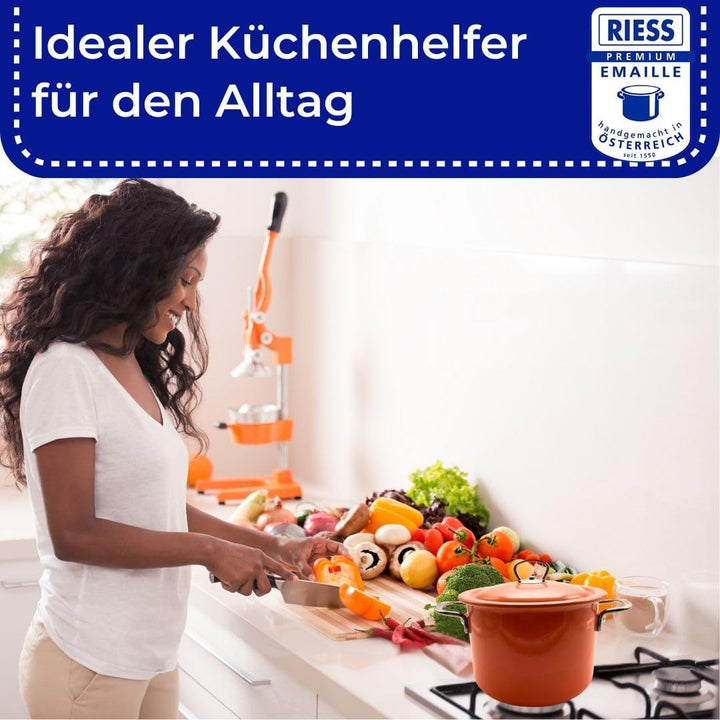 Riess, 2189-001, Fleischtopf mit Deckel 20cm, 4L, Emaille, CLASSIC Edition, Mango