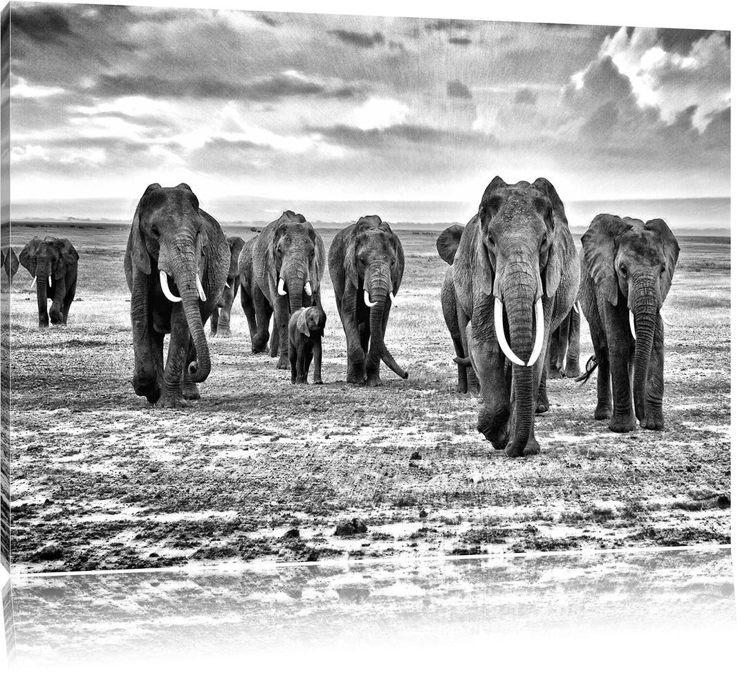 Pixxprint Elefanten Familie in der Savanne Kunst B&W, Format: 100x70 auf Leinwand, 100x70