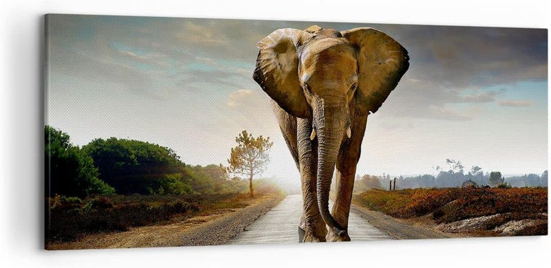 Wandbilder Dekoration Wohnzimmer Elefant Strasse Landschaft Panorama Bilder auf Leinwand 120x50cm Le