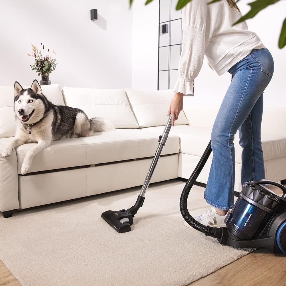 Cecotec Bagless Sledge Vacuum Cleaner Conga Rockstar Multicyclonic XXL Animal. 800 W, Multicyclonic,