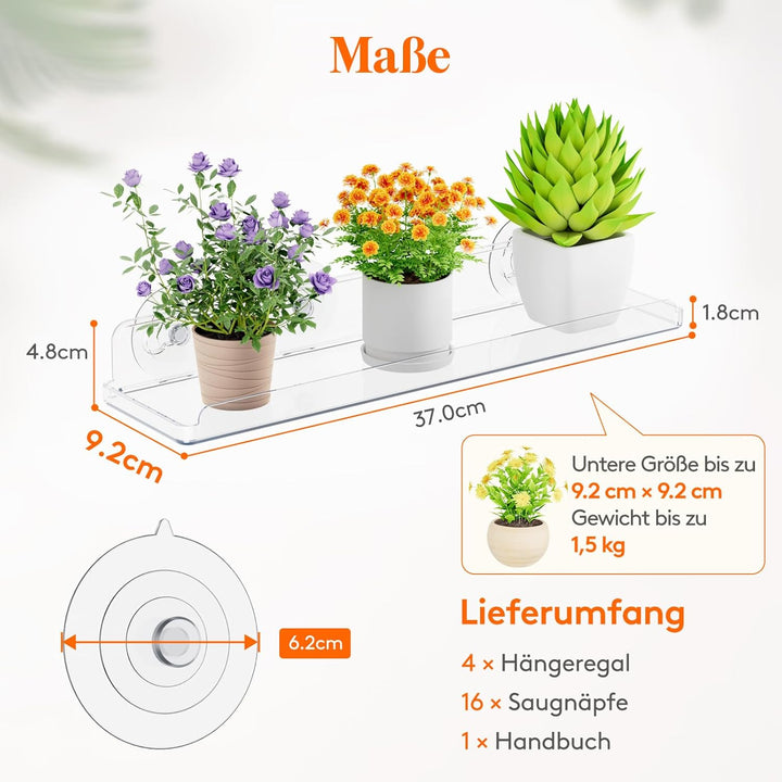 Lifewit Fenster Pflanzenregale, 4 Stück, 38cm, Transparent Regal Saugnapf, Fensterwand-Pflanzenständ