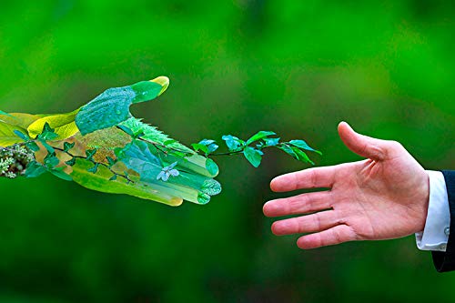 BiOHY Spülmittel (2 x 1 liter) | Bio Geschirrspülmittel ohne schädliche Chemikalien | Flüssiger Fett