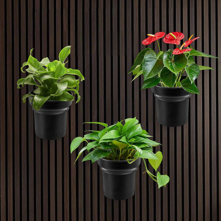 HA BIN Wandblumentopf für Akustikpaneele – 2er-Set kleine PP-Blumentöpfe Ø10×H10cm mit Halterungen f