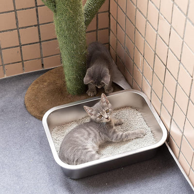 Yangbaga Edelstahl Katzentoilette für Kätzchen, 10cm Höhe Einfach gehen, Geruchskontrolle, Antihaft,