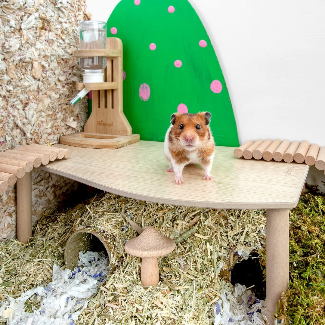 Niteangel Hamster Spielpodest aus Holz für Zwerghamster, Syrische Hamster, Gerbils, Mäuse, Degus ode