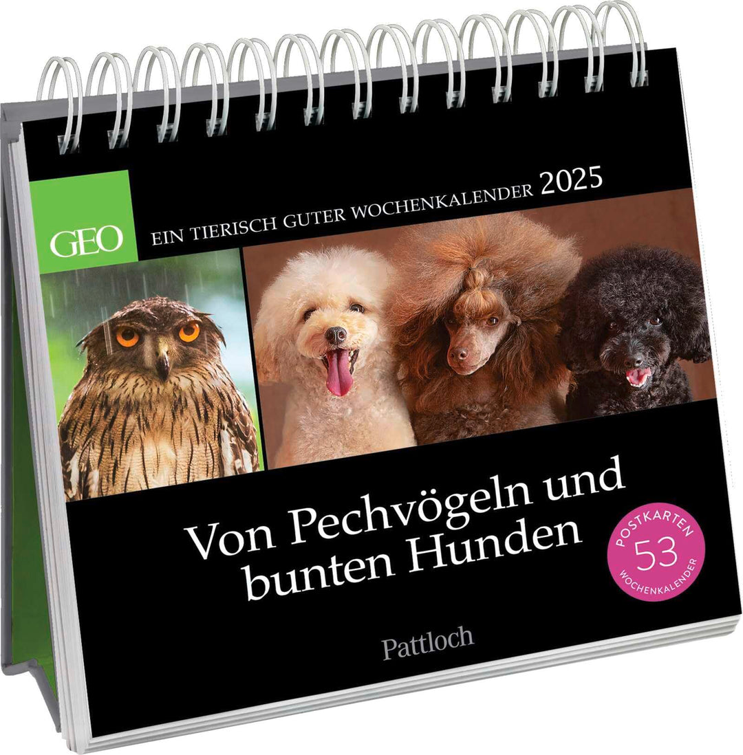 Postkartenkalender 2025: Von Pechvögeln und bunten Hunden: Ein tierisch guter Wochenkalender | Zum A