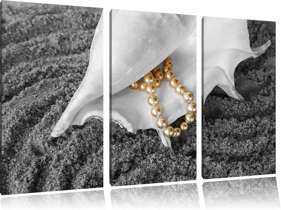 Pixxprint Muschel Perlenkette als Leinwandbild/Grösse: 3 Teilig (120x80 cm) cm/Wandbild/Kunstdruck/f