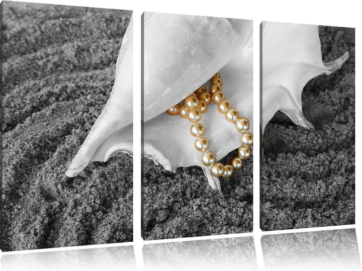 Pixxprint Muschel Perlenkette als Leinwandbild/Grösse: 3 Teilig (120x80 cm) cm/Wandbild/Kunstdruck/f