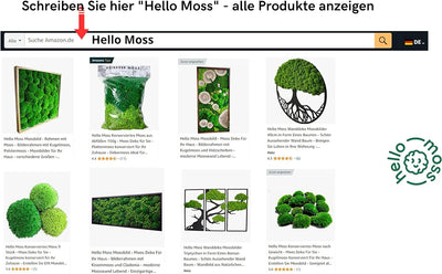 Hello Moss Konserviertes Moos nach Gewicht - Moos Deko Für Sie - Kugelmoos Konserviert Für Ihr Haus