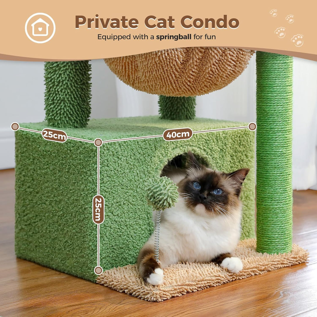 PAWZ Road Kaktus Katzenbaum für Indoor-Katzen mit Hängematte, Katzenturm mit Kratzbaum, grosser ober