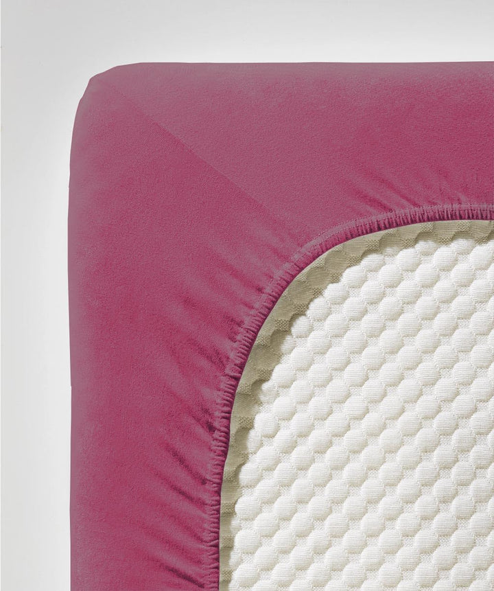 fleuresse Comfort Spannbettlaken, 96% Baumwolle, 4% Elasthan, Himbeere, 200 x 200 cm Himbeere 200 x