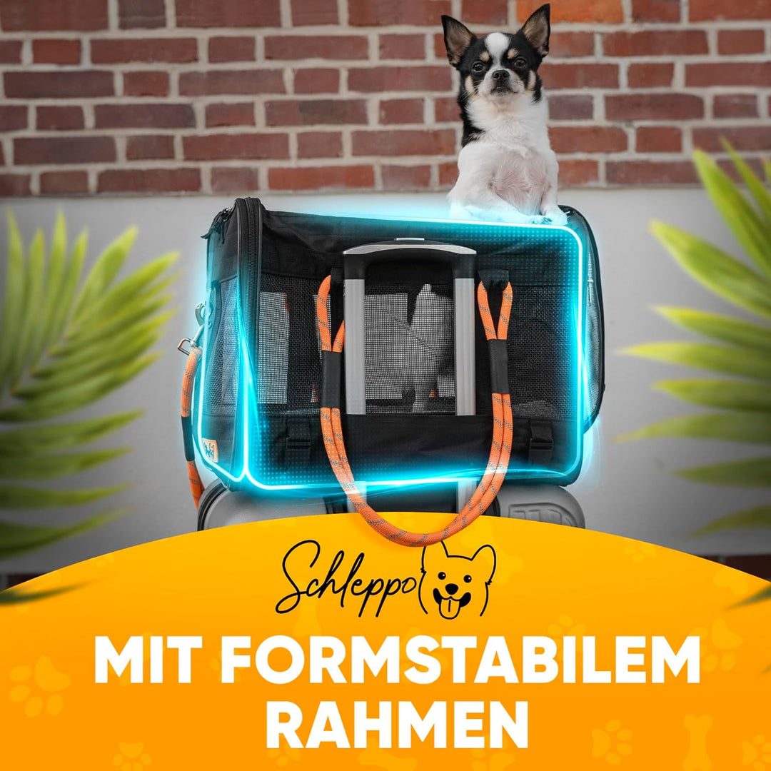 Schleppo Hundetasche für kleine Hunde 7kg [ATMUNGSAKTIV] - Hunde Transporttasche für Auto &amp; Zuhause