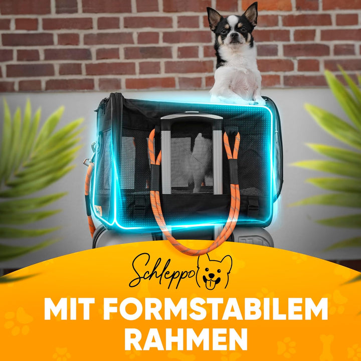 Schleppo Hundetasche für kleine Hunde 7kg [ATMUNGSAKTIV] - Hunde Transporttasche für Auto &amp; Zuhause