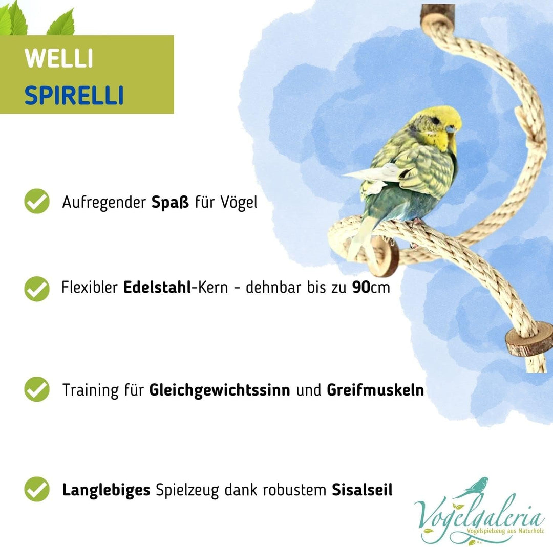 Vogelgaleria® handgemachtes Wellensittich Spielzeug | Kletterspirale mit Natur Knabberringen für Vög