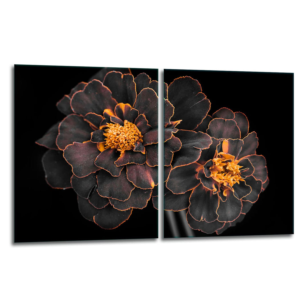 TMK | Herdabdeckplatten ceranfeld 2 Teilig 40x52 cm | Ceranfeldabdeckung Küche Elektroherd Induktion