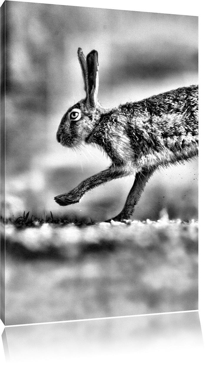 Monocrome, Hüpfender Hase, Format: 100x70 auf Leinwand, XXL riesige Bilder fertig gerahmt mit Keilra