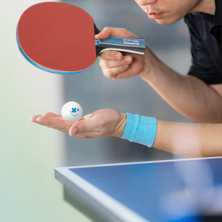 Relaxdays Tischtennis Set, Hülle mit Tischtennis-Netz, 2 Holzschläger, 3 Ping Pong Bälle, Mini Tisch