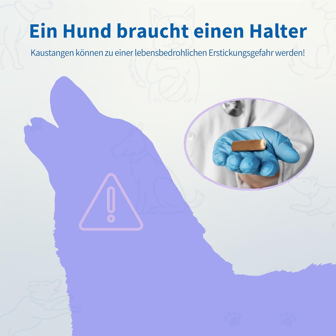 PetClan Chewise Bully Stick Halter – Ultimative Sicherheit & Robustes Design, BPA-frei, Verhindert E