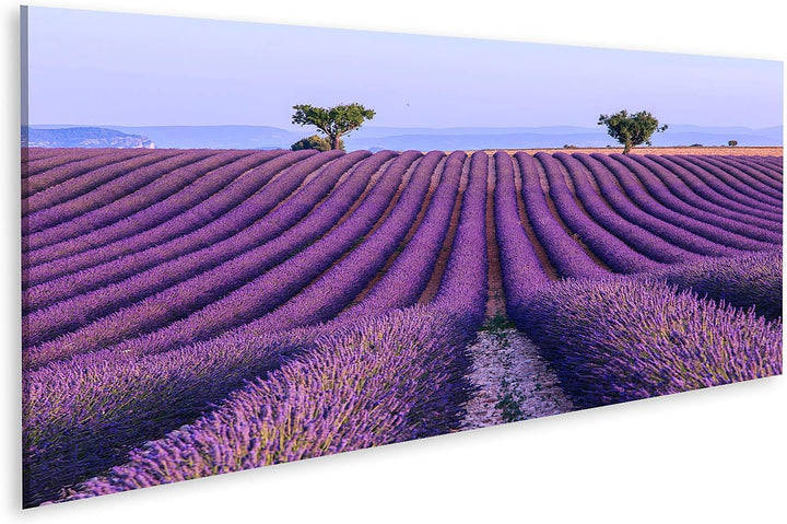 islandburner Bild auf Leinwand Lavendelfeld Sommerlandschaft Valensole Provence Frankreich Bilder Wa