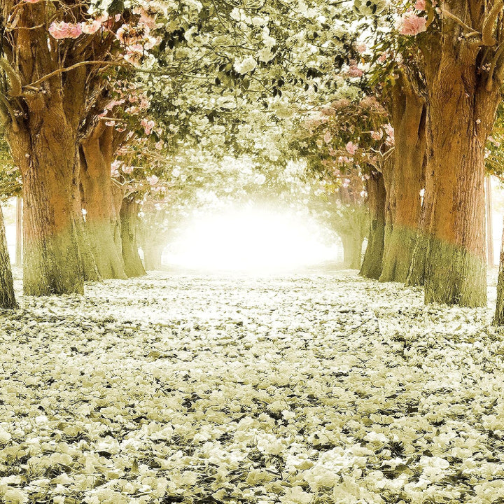 Runa Art Bild Wald Landschaft Wandbilder auf Vlies Leinwand 5 Teilig Wanddekoration Schlafzimmer Woh