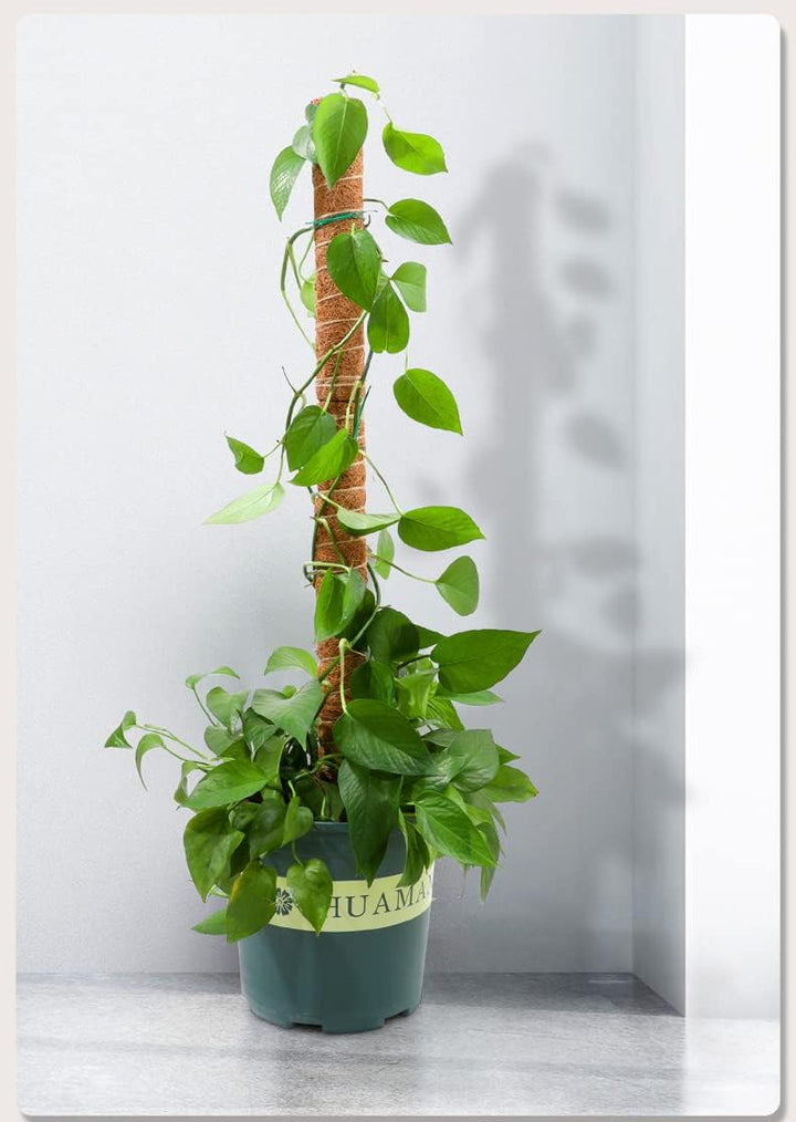 4 Stück Pflanzstab Kokos, 40cm Moosstab für Monstera, Moss Pole, Verlängerbar Coir Moss Stick,Prakti