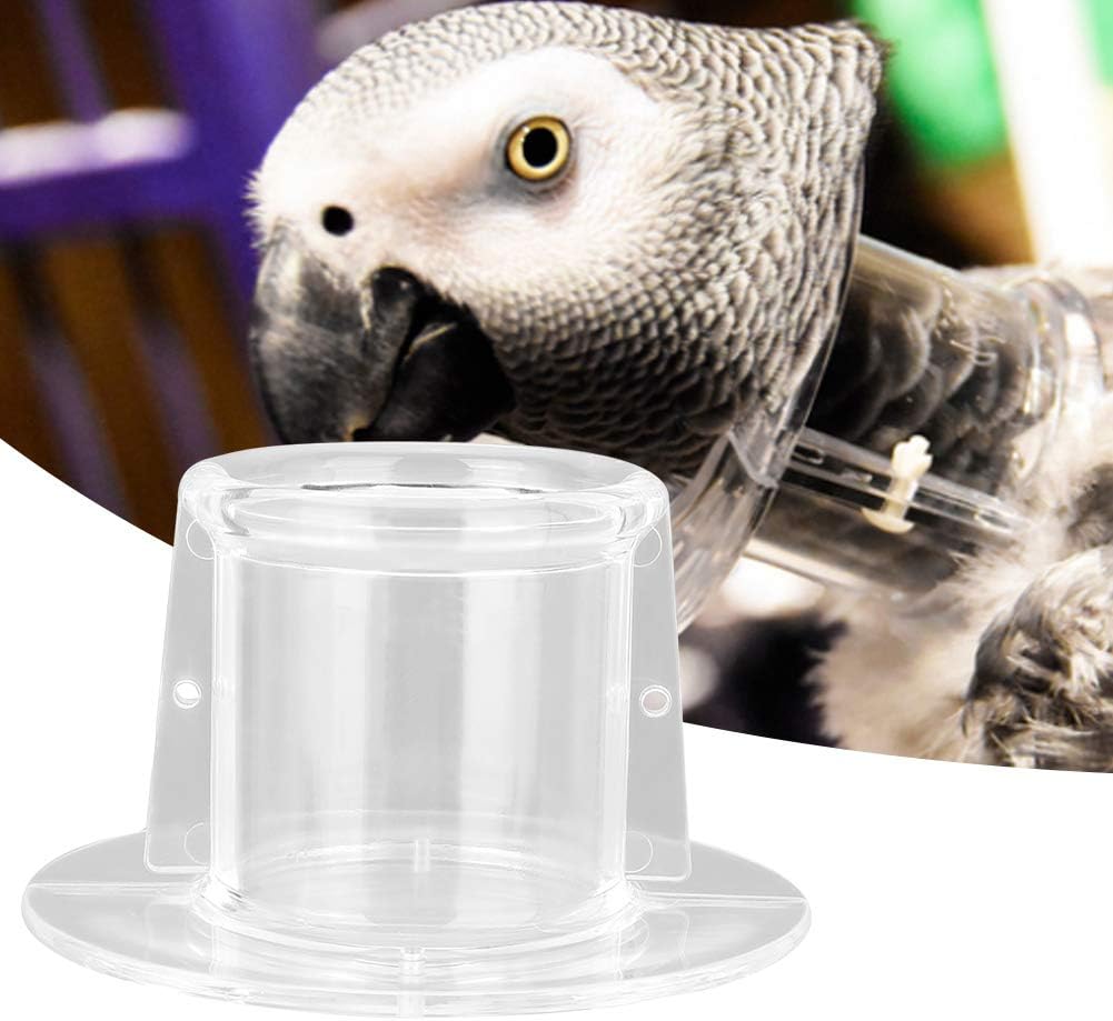 Parrot Anti-Biss Federpflücken Wundheilungs Halskrause Vogelhalskrause für Vogel(S) (L Aussendurchme