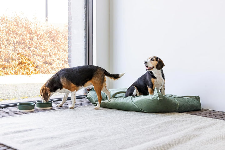 Designed by Lotte DBL Nalino Liegekissen, Hund, Samt, grün, 100x70x15 cm, Grün