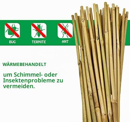 Mininfa Natürliche Bambusstäbe 60CM, Umweltfreundliche Bambusstange, Bambusstangen, Pflanzenstäbe fü