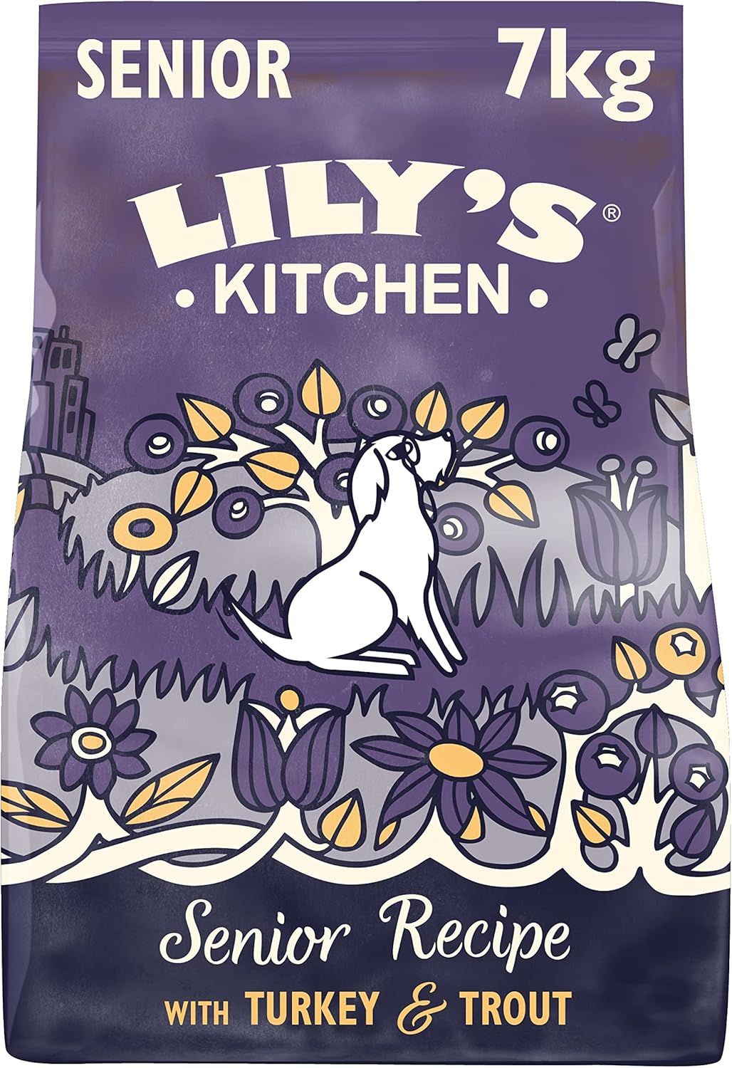 Lily's Kitchen Lachs und Forelle - Complete Natural getreidefreies Trockenfutter für ältere Hunde (7