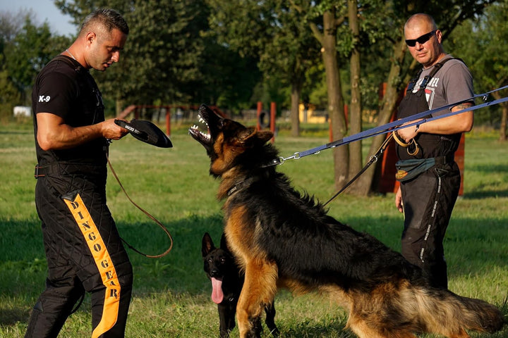Dingo Gear Beisskissen Keilform Medium Weich aus Baumwolle-Nylon Schwarz IPO IGP K9 Training Ausbild