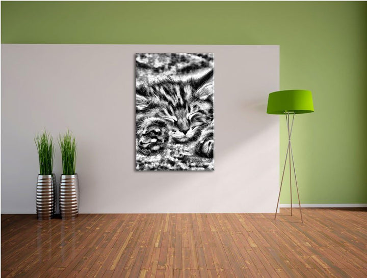 Pixxprint Monocrome, Süsse Baby Katze, Format: 100x70 auf Leinwand, riesige Bilder fertig gerahmt mi