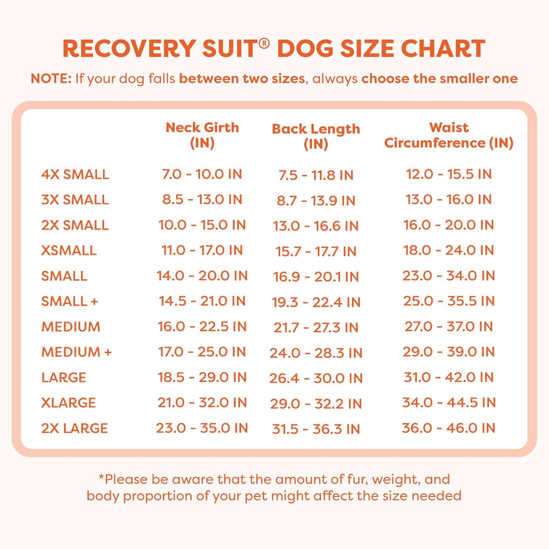 Suitical Recovery Suit Hund, XXL, Schwarz Schwarz XXL, Schwarz XXL