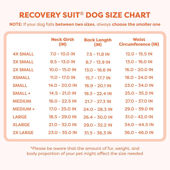 Suitical Recovery Suit Hund, XXL, Schwarz Schwarz XXL, Schwarz XXL