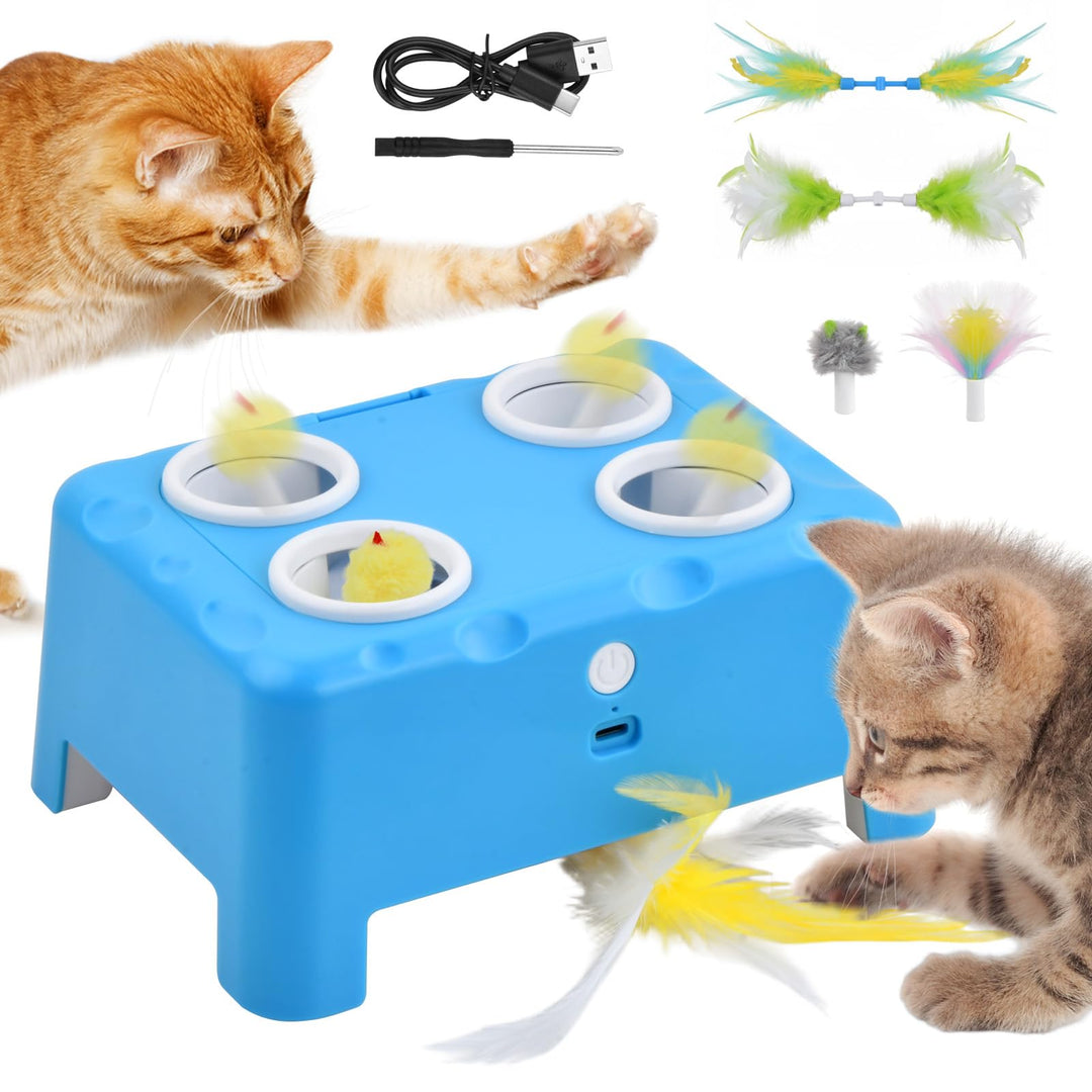 Focenat 2-in-1 Automatisches Katzenspielzeug, Interaktives Katzenspielzeug, Wiederaufladbares Katzen