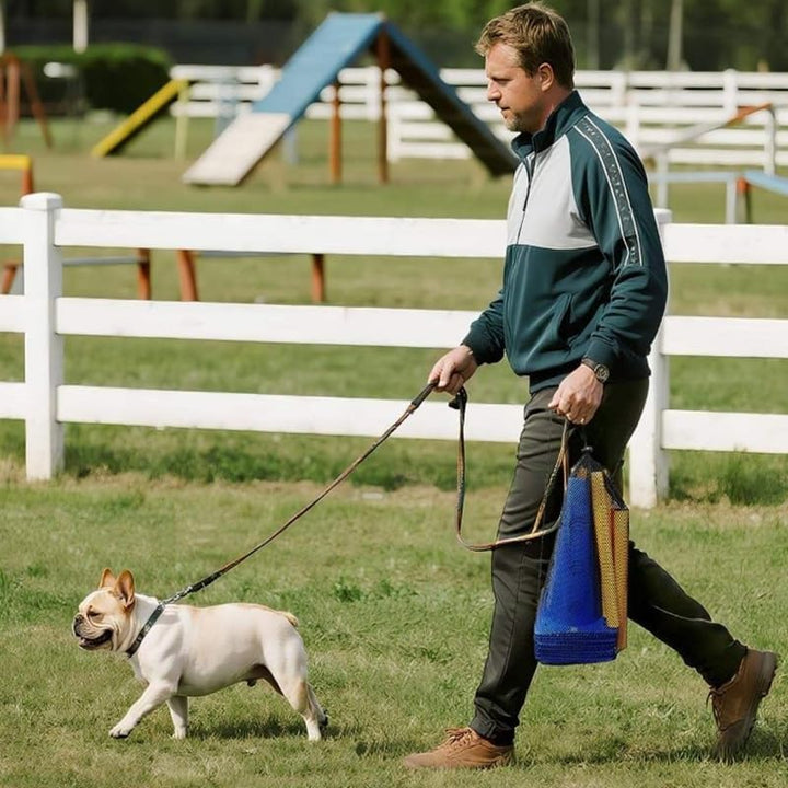 Agility Set Hunde Klein Cavaletti Hunde Steckhürdenset, Sports Steckhürdenset 10 Kegel + 5 Stangen,