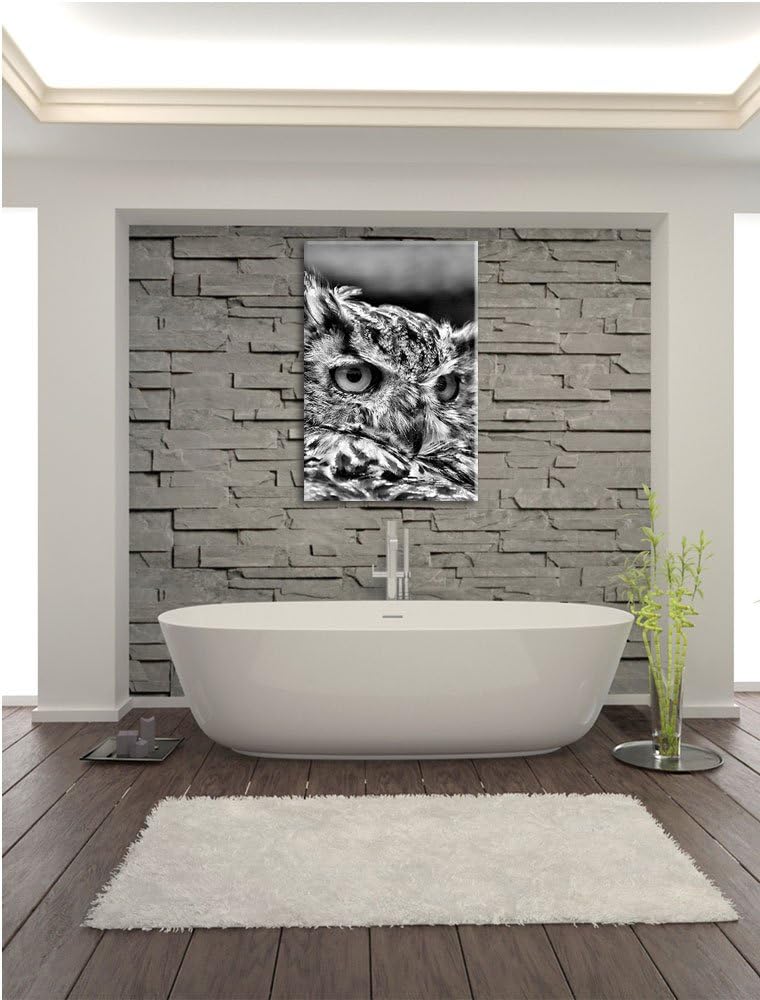 Monocrome, Eule, Format: 100x70 auf Leinwand, XXL riesige Bilder fertig gerahmt mit Keilrahmen, Kuns