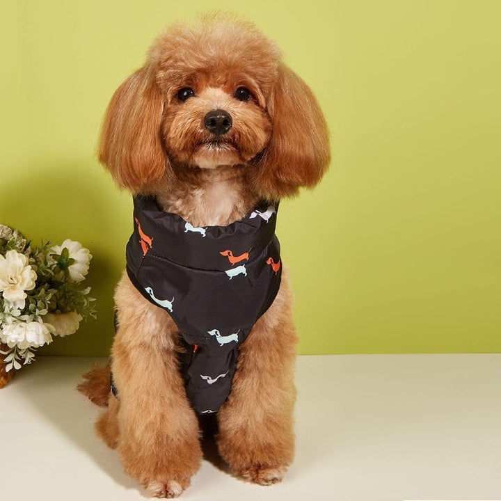 Hundemantel Winter Hundejacke Warme Hundemantel für Kleine Hunde Winddichte Hundeweste mit Geschirr