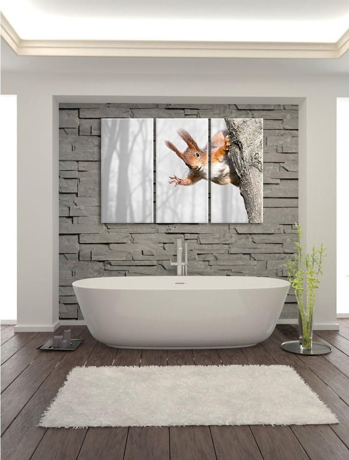 Pixxprint Neugierig rotes Eichhörnchen als Leinwandbild/Grösse: 3 Teilig (120x80 cm) cm/Wandbild/Kun