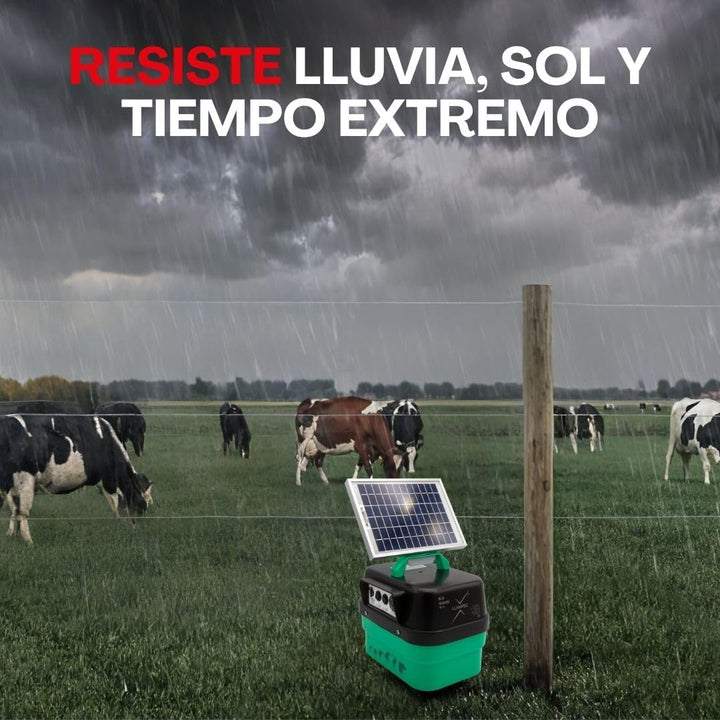 Llampec pas00024s – Hirte Elektro