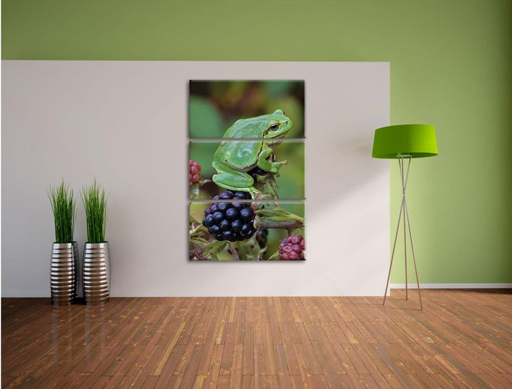 Pixxprint Kleiner Frosch auf Brombeerstrauch 3-Teiler Leinwandbild 120x80 Bild auf Leinwand