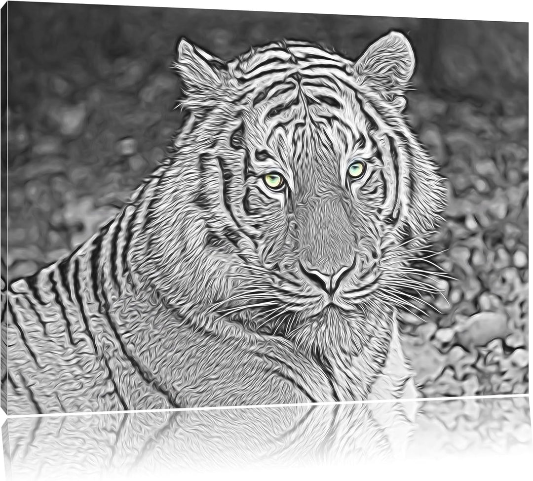 schöner prächtiger Tiger schwarz/weiss Deluxe Format: 100x70 cm auf Leinwand, XXL riesige Bilder fer