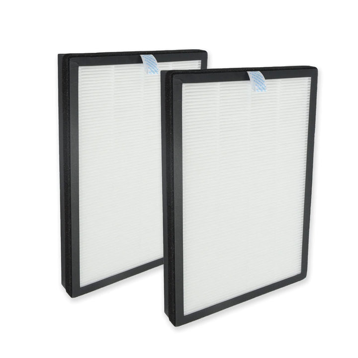 PUREBURG Ersatzfilter, kompatibel mit HIMOX H04 Luftreiniger, 2er-Pack H13 HEPA-Aktivkohle, 2-in-1,