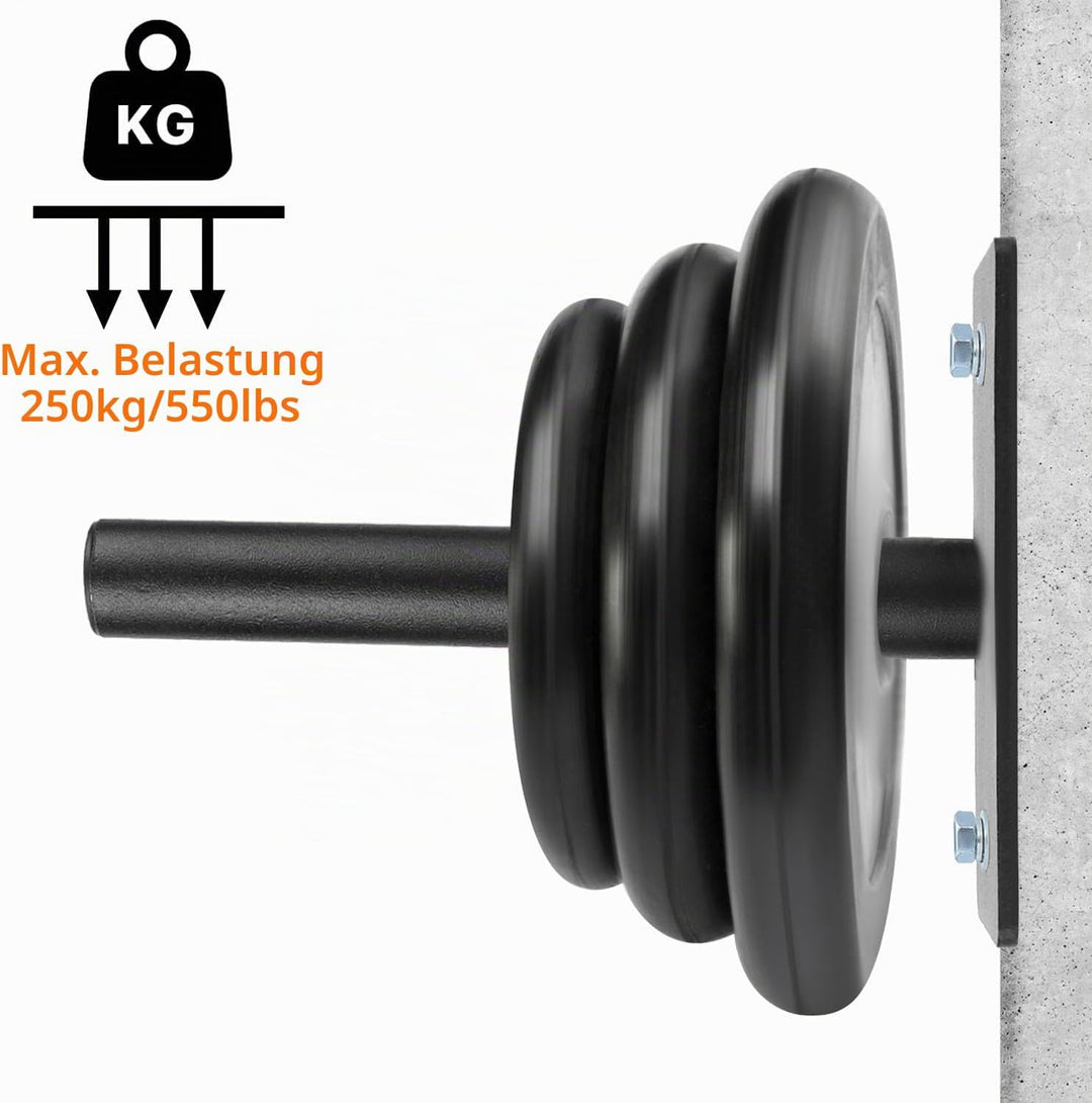 QWORK® 2 Stück Wandmontage Hantelscheiben Halterung, für 2.5 cm/3cm/5cm, Robuste Stahlkonstruktion H