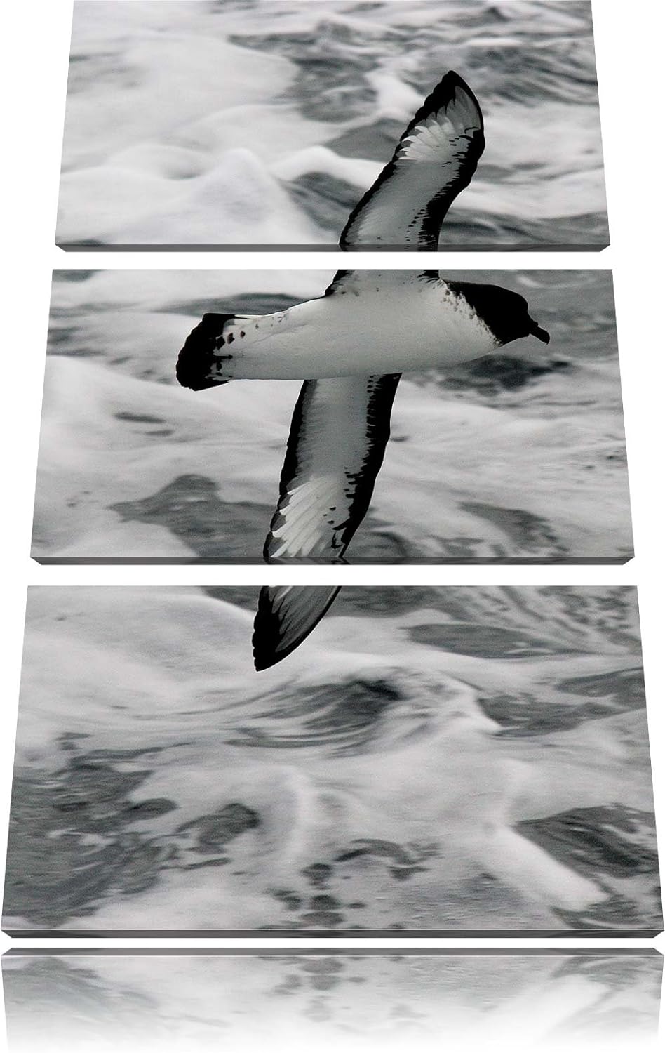 Pixxprint prächtige Möwe fliegt über Wasser 3-Teiler Leinwandbild 120x80 Bild auf Leinwand