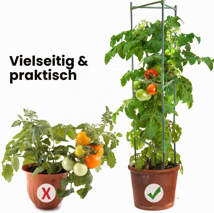 Pflanzenhalter, Rankhilfe Pflanzen, Robuste Tomatenkäfig, Gartenpflanze StützstangenKäfig Lange Stah