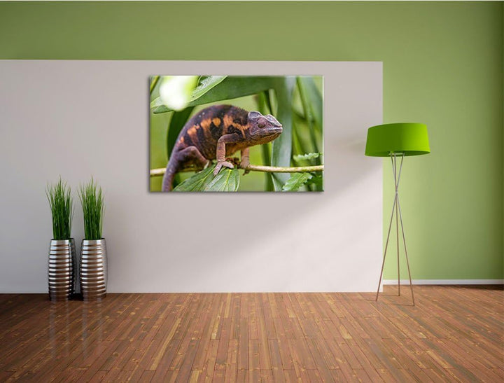 Pixxprint braunes Chamäleon auf Leinwand, XXL riesige Bilder fertig gerahmt mit Keilrahmen, Kunstdru